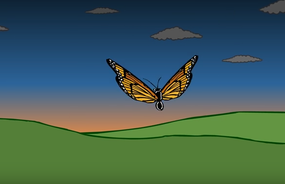 animated monarch butterfly short film