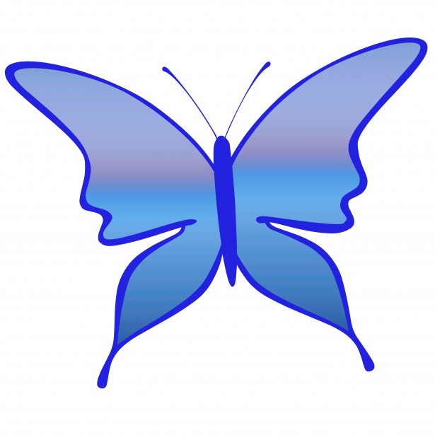 blue butterfly clipart wingspan