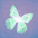 artistic crystal water butterfly graphic image