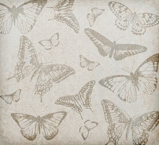 vintage butterflies digital art