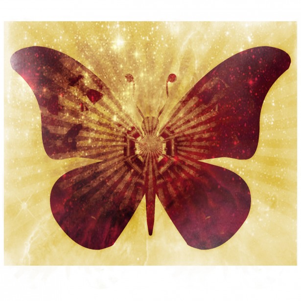 brown butterfly art