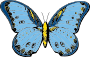 fat blue clip art butterfly