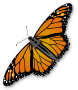monarch butterfly graphic