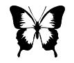 black and white butterfly clip art
