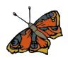 weird orange grey butterfly clipart