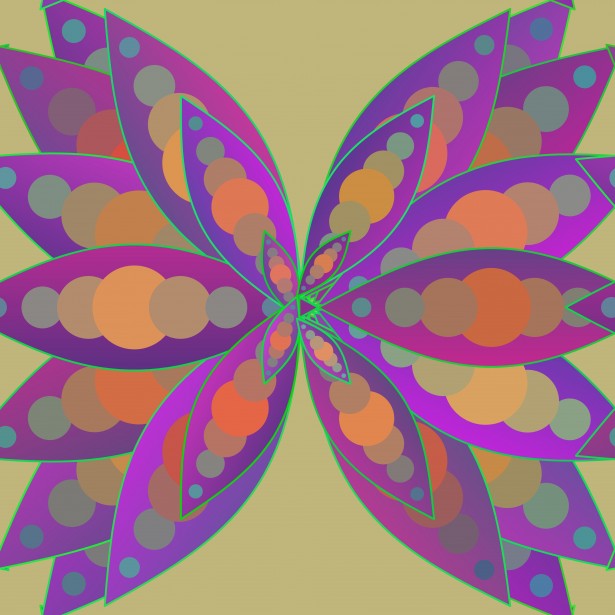 multicolored butterfly design