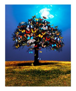 tree filled with butterflies digital art