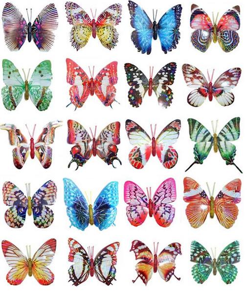 Colored collage of assorted butterfly images
