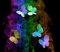 colorful abstract butterfly art