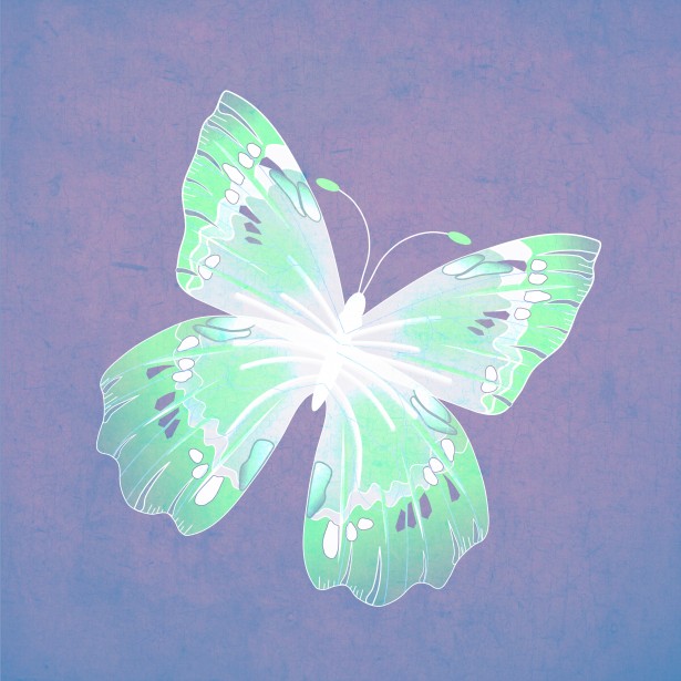Green butterfly violet background art