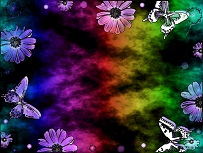 Rainbow color abstract butterfly art