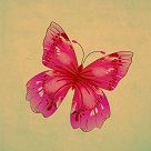 red butterfly brown background art