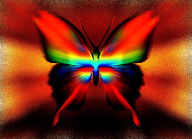 colorful abstracy butterfly art